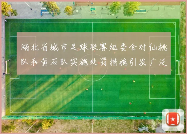 湖北省城市足球联赛组委会对仙桃队和黄石队实施处罚措施引发广泛关注